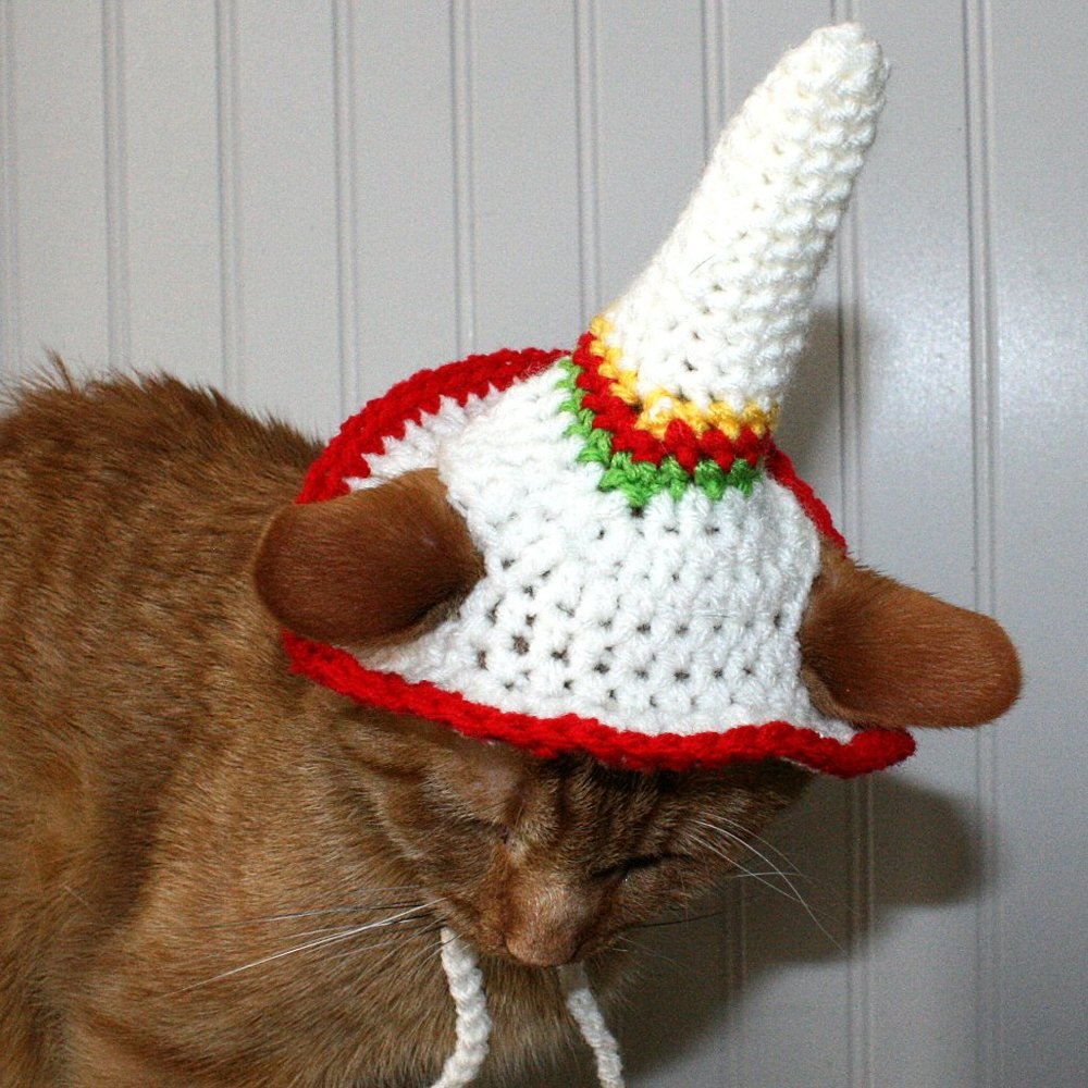 HAND CRAFTED Crochet Sombrero Cinco De Mayo Cat Hat Costume Photo Prop - Picture 4 of 15
